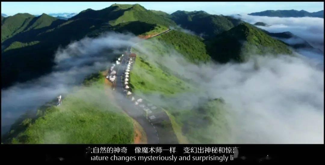 发现冷知识的
